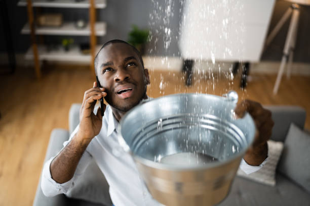 Best Water damage cleanup near me  in Athens, MI