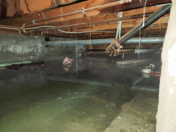 Best Ceiling water damage repair  in Athens, MI