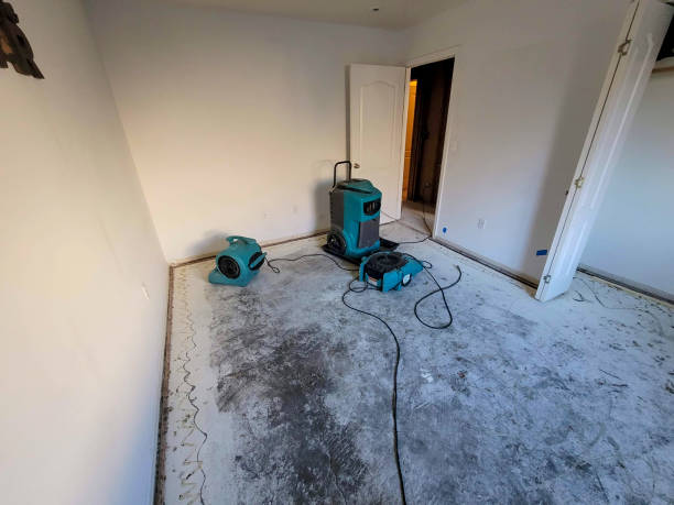 Best Sewage cleanup and water damage restoration  in Athens, MI