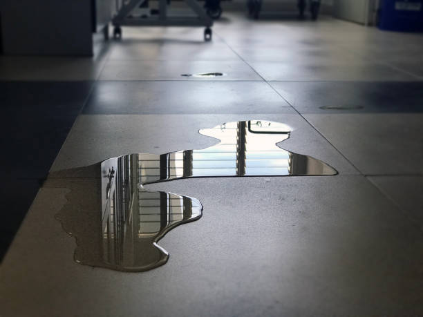 Best Professional water damage repair  in Athens, MI