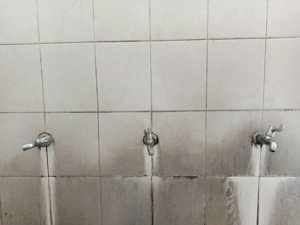 Best Emergency water damage restoration  in Athens, MI