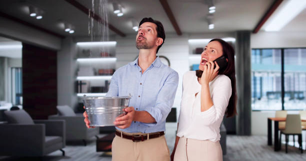 Best Carpet water damage restoration  in Athens, MI
