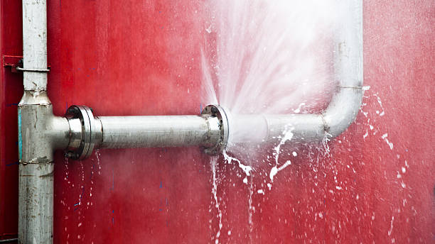 Best Flooded house restoration  in Athens, MI